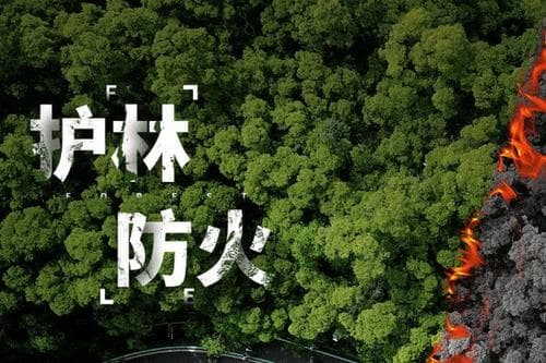 四川公安公布一批典型案例 多人引发森林火灾被采取刑事措施