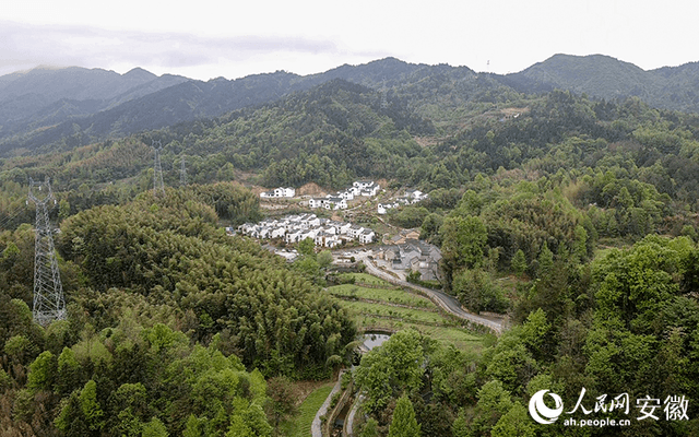 大湾村的一天