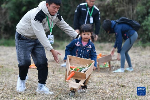 浙江宁波：山乡里的生态文化节