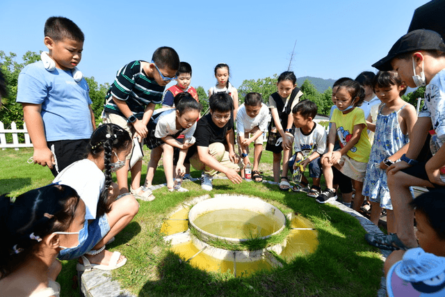 走进自然 感知世界：浙江中小学生暑期生活丰富多彩