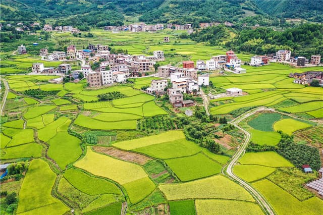 湖南蓝山：初秋田园 景美如画