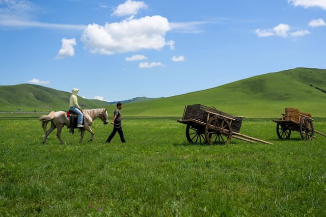 四季牧歌：乌兰毛都草原的“夏日牧歌”