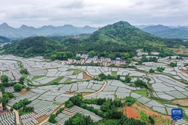 沿着总书记的足迹丨广西篇：八桂大地唱响奋进歌