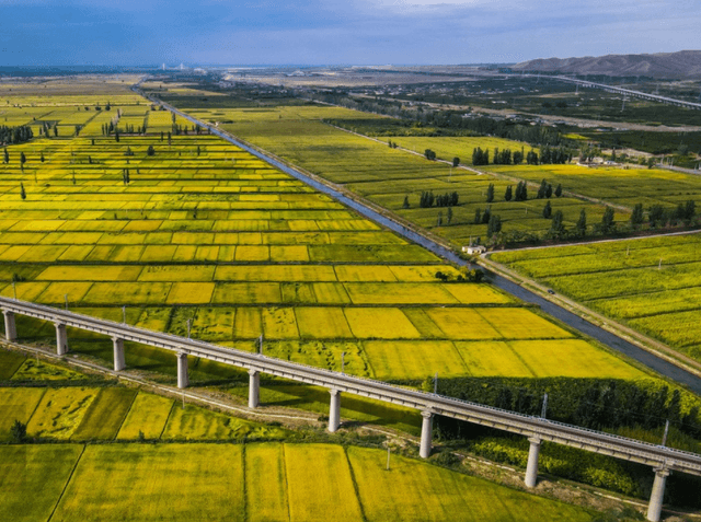 马鞍山农田四变，耕地保护有新招