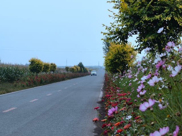 修好农村公路 幸福连通千家万户