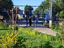 党建引领・服务暖心・自治聚力：兰新社区散居楼院管理焕新颜