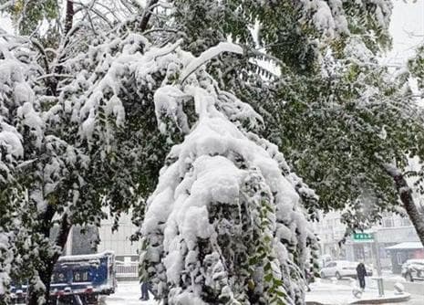 吉林遭遇强降水 雨雪交加延缓秋收进程