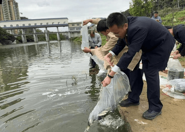 与“鱼”同行 共护壮乡水