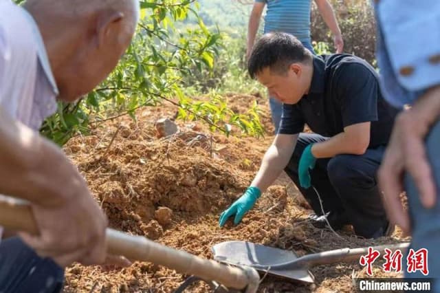 从法医到寻亲圆梦人 “浙江好人”为落叶寻根为历史寻真