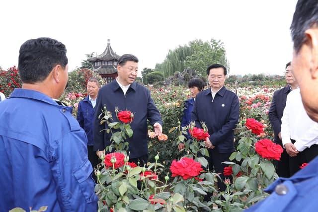 习近平河南行丨共享生态美景 助推乡村振兴——走进南阳月季博览园