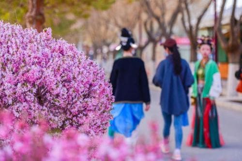 清明时节,各地群众参加多彩活动 感受传统韵味