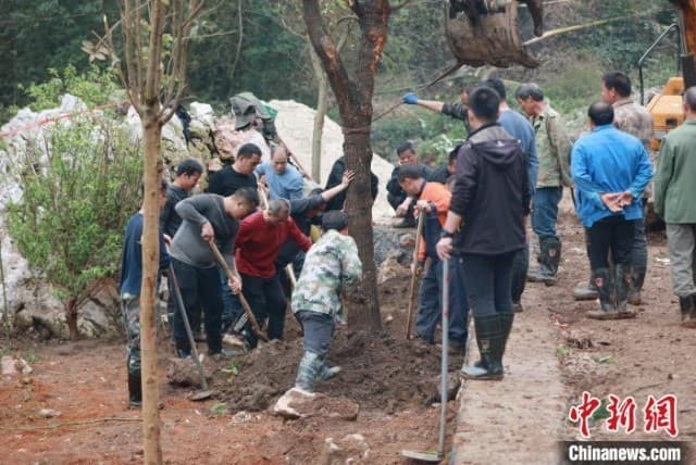 广西一乡村民众集资上万元 为家园增“绿”