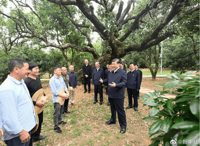 习近平：农村特色产业前景广阔