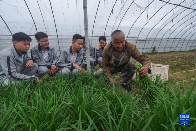 浙江湖州：校园开设多样化劳动实践课程