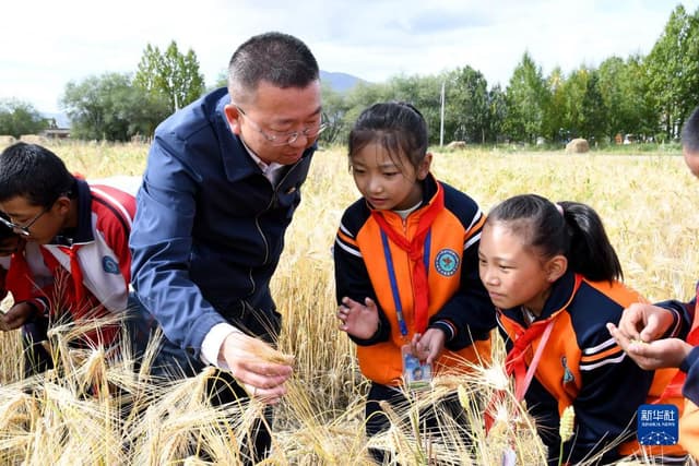 西藏日喀则：青稞地里的思政课