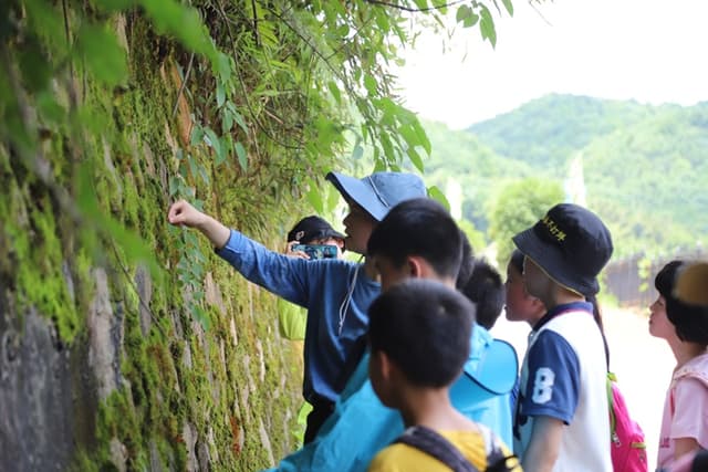 湖南长沙：乡村“复兴少年宫”小小规划师共建美丽家乡