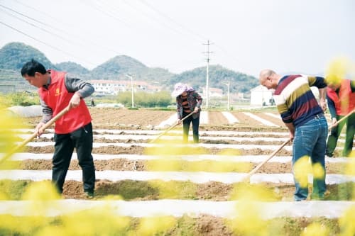 贵阳观山湖区：党建引领乡村发展