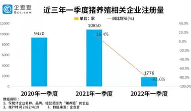 猪肉价格或将进入上行通道：今年一季度我国猪养殖相关企业注册量同比下跌83.6%