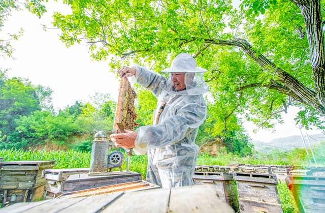 河南卢氏：绿水青山酿出“甜”日子