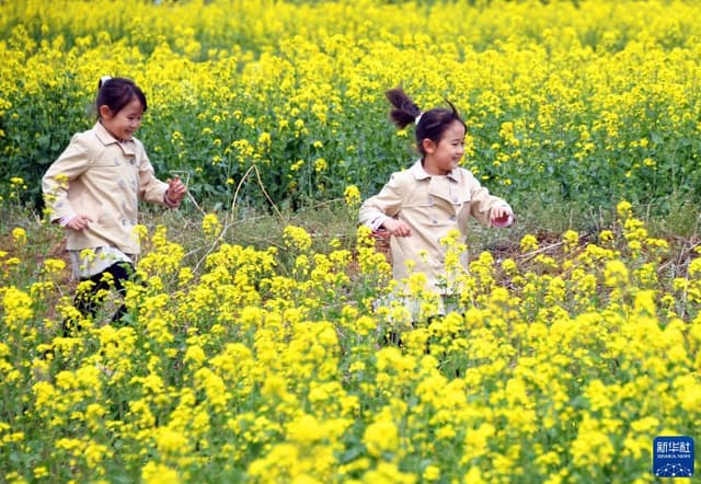 北京平谷：花开引客来