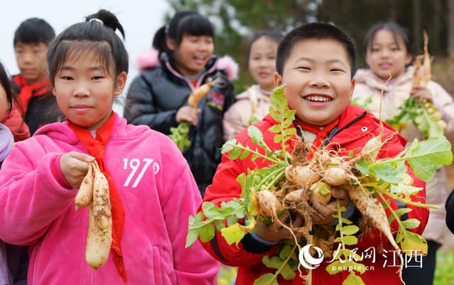 江西定南：劳动课里收获多