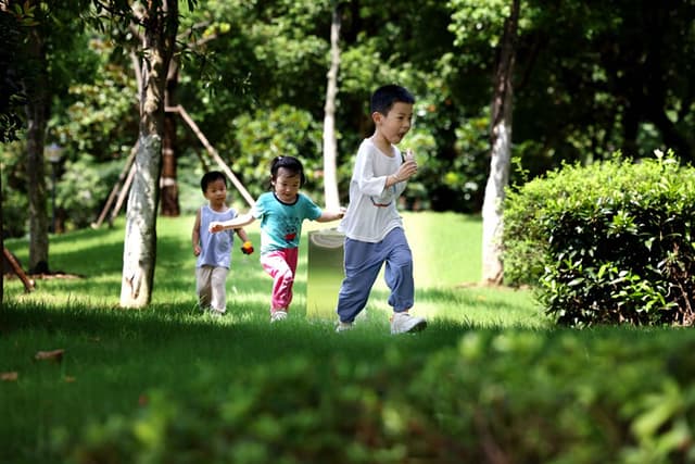 安徽合肥:街头“小游园” 畅享“绿生活”