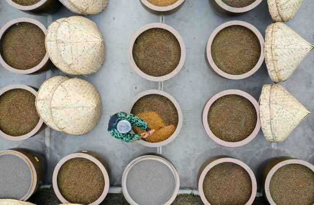 江苏如皋:冬至到 晒酱忙