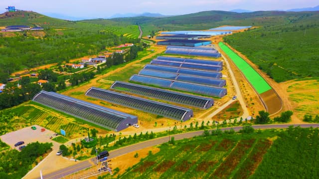 内蒙古赤峰市林西县南街服务站:设施农业结硕果 群众家门口增收