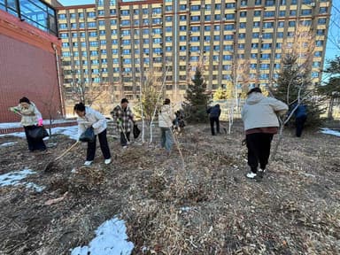 林西县林西镇南街服务站:深耕共建沃土 绽放文明之花