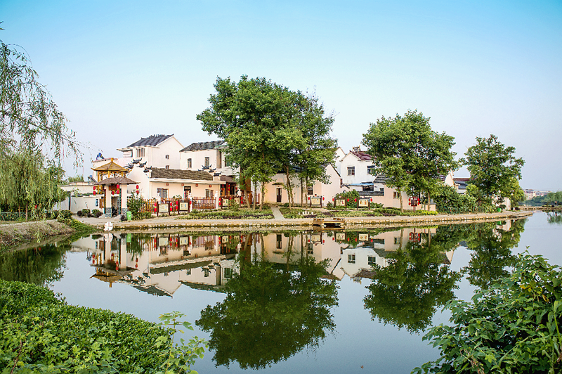安徽芜湖：打造宜居宜业美丽乡村 绘就村美民富新图景