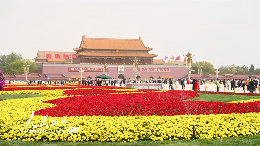 北京天安门广场两侧绿地花卉布置完成迎“五一”