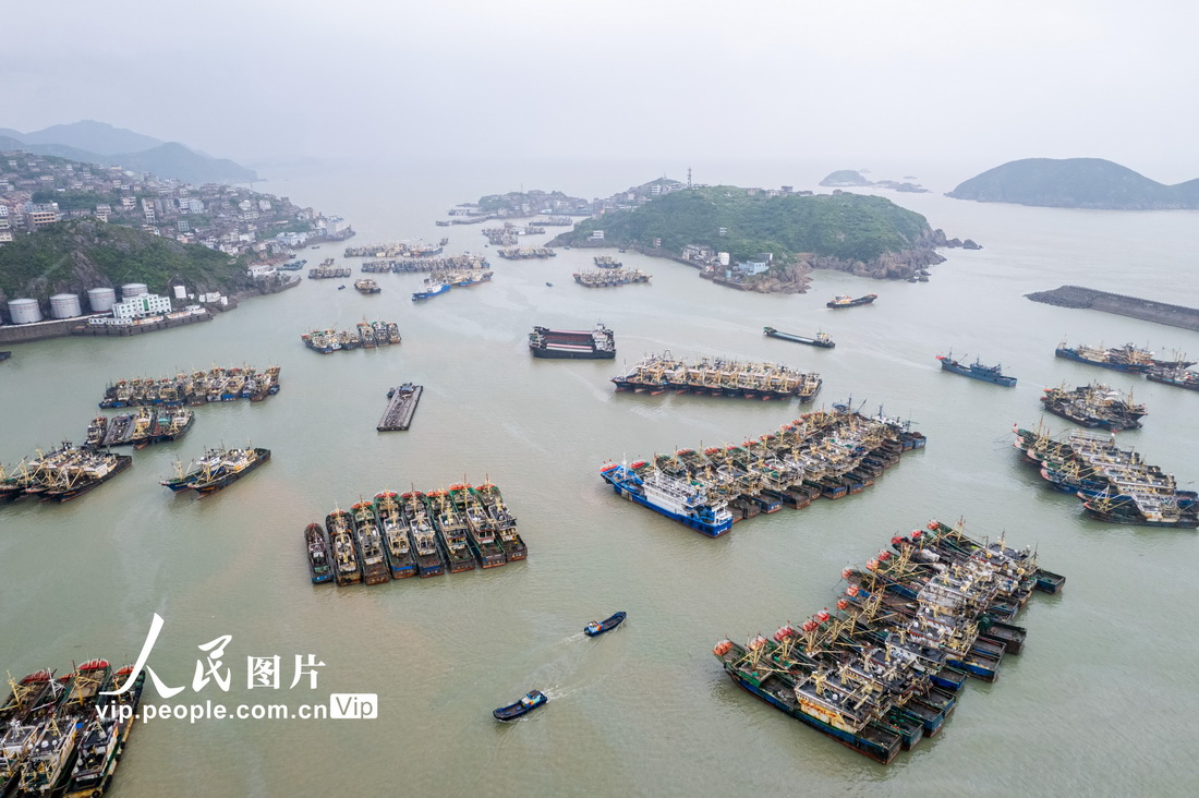浙江温岭：渔船进港准备休渔