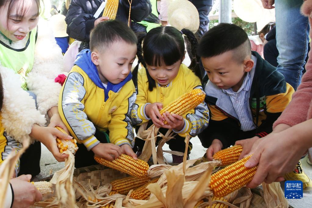 重庆黔江：田园亲子活动 体验农耕文化